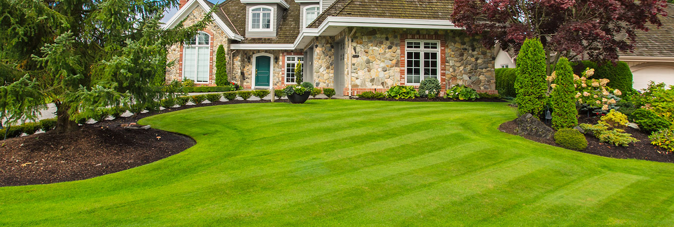 Lawn Care Rates Near Me